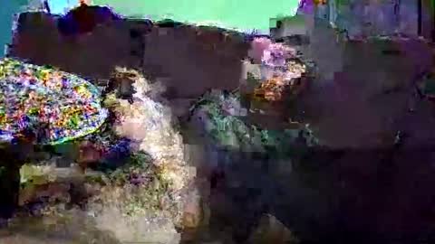 Snapshot of christopher1087 chatting on March 3, 2026, 7:58 am christopher1087 online show from March 3, 2026, 7:58 am