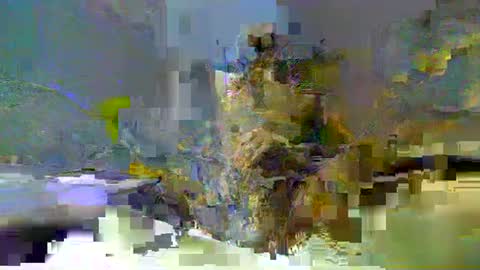 chuck354139 online show from February 13, 2025, 3:14 pm