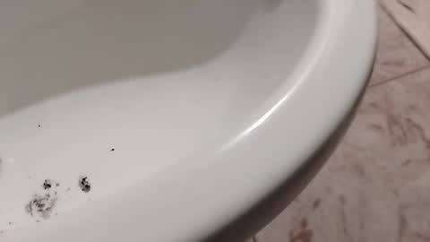 Snapshot of ciccilli chatting on November 1, 2025, 10:23 pm ciccilli online show from November 1, 2025, 10:23 pm