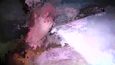 Snapshot of cicuta15 chatting on March 17, 2026, 1:10 am cicuta15 online show from March 17, 2026, 1:10 am