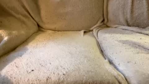 join the circle online show from December 17, 2024, 4:53 pm