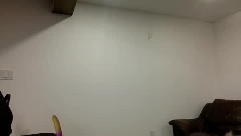 Clarke Cock online show from March 21, 2026, 11:15 am