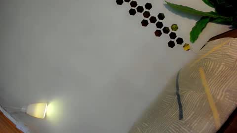 Snapshot of classy_bombshellxx chatting on January 12, 2026, 3:17 pm Amanda trans red one Anna Girl black one online show from January 12, 2026, 3:17 pm