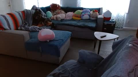 Stone Daily online show from September 22, 2025, 1:57 pm