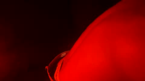 Drew online show from February 14, 2025, 6:45 am