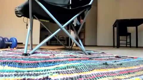 Snapshot of cocknholestar chatting on January 3, 2025, 4:22 am Gorgeous online show from January 3, 2025, 4:22 am