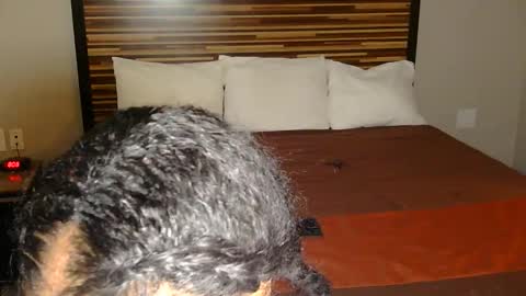 Snapshot of cocochanel197941 chatting on March 2, 2026, 9:10 pm chanel online show from March 2, 2026, 9:10 pm