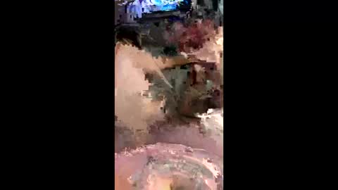 Snapshot of codyadams21 chatting on December 6, 2024, 9:10 am codyadams21 online show from December 6, 2024, 9:10 am