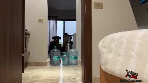 Snapshot of colbyknox chatting on September 20, 2025, 11:06 pm colbyknox online show from September 20, 2025, 11:06 pm