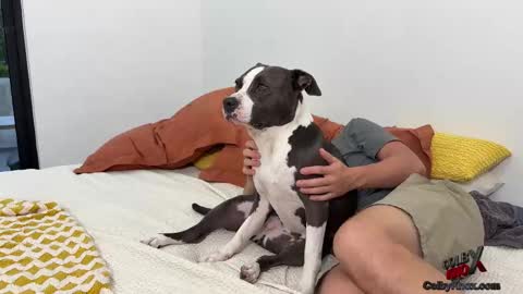 Snapshot of colbyknox chatting on November 4, 2025, 10:53 pm colbyknox online show from November 4, 2025, 10:53 pm