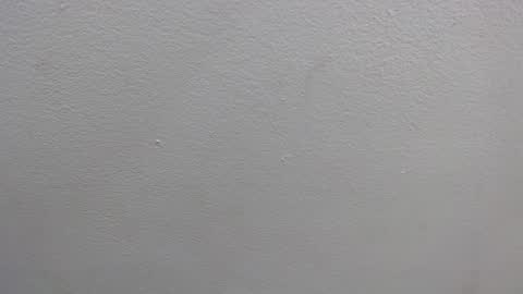  GRETCHEN  online show from January 16, 2025, 12:31 pm