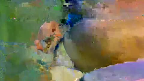 Snapshot of colourlight chatting on November 9, 2025, 11:47 pm colourlight online show from November 9, 2025, 11:47 pm