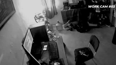 cometodani online show from April 16, 2026, 8:20 pm