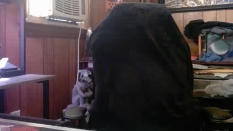 Snapshot of comic_king27 chatting on March 8, 2026, 1:59 pm Nelson or ComicKing and sometime Peachy143 online show from March 8, 2026, 1:59 pm