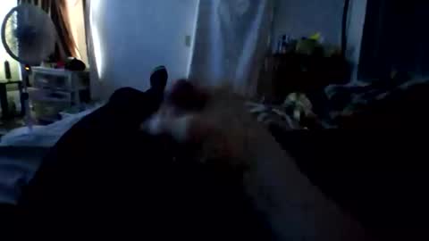 connlee10929154 online show from January 16, 2026, 2:21 pm