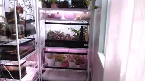 ANR Mommy online show from November 14, 2025, 3:44 pm