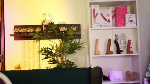 Snapshot of coolteacher chatting on January 12, 2025, 11:17 am Ginger The Cringer online show from January 12, 2025, 11:17 am