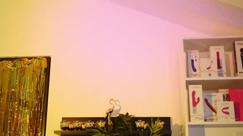 Snapshot of coolteacher chatting on January 18, 2025, 10:17 am Ginger The Cringer online show from January 18, 2025, 10:17 am