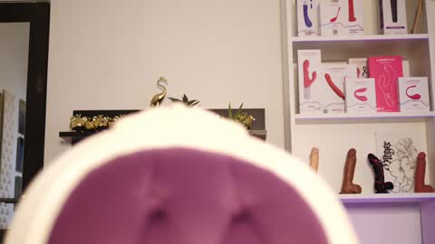 Snapshot of coolteacher chatting on January 24, 2025, 9:28 am Ginger The Cringer online show from January 24, 2025, 9:28 am