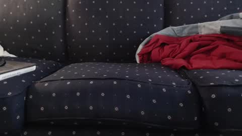 copper_crotch online show from November 10, 2025, 12:09 am