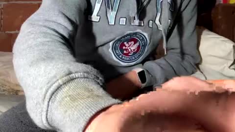 Snapshot of corradog83 chatting on December 29, 2024, 8:33 am Corrado online show from December 29, 2024, 8:33 am