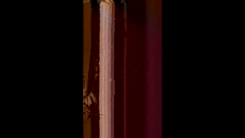 Snapshot of corradog83 chatting on February 8, 2025, 8:52 am Corrado online show from February 8, 2025, 8:52 am