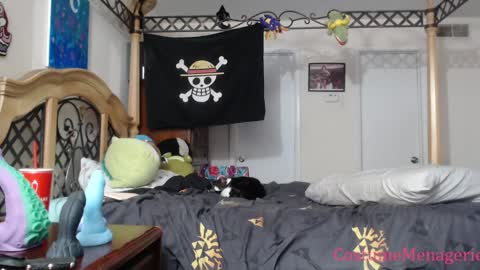 Snapshot of costumemenagerie chatting on January 17, 2025, 12:20 am Amethyst Cox online show from January 17, 2025, 12:20 am