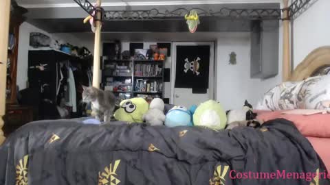 Amethyst Cox online show from March 26, 2026, 10:04 pm