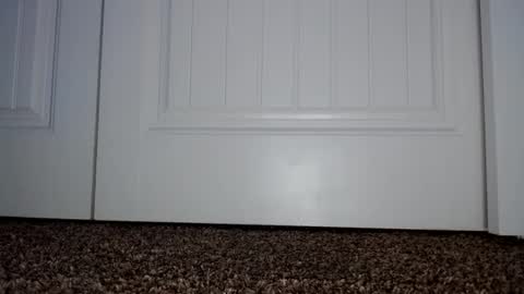 Snapshot of couple049 chatting on January 2, 2025, 7:29 pm Couple049 online show from January 2, 2025, 7:29 pm