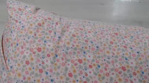 cristyna361 online show from July 8, 2026, 5:17 pm