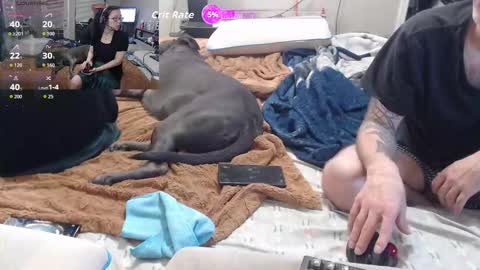 Snapshot of crownandkat chatting on March 2, 2026, 11:33 pm Crownandkat online show from March 2, 2026, 11:33 pm