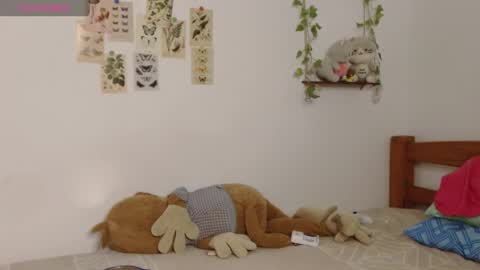 Cuddly online show from June 1, 2026, 6:48 am