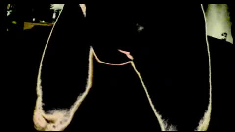 cum4me2i812 online show from July 23, 2026, 12:46 am