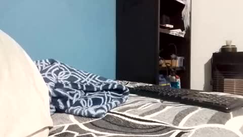 cumbian_chero online show from February 23, 2026, 11:07 am