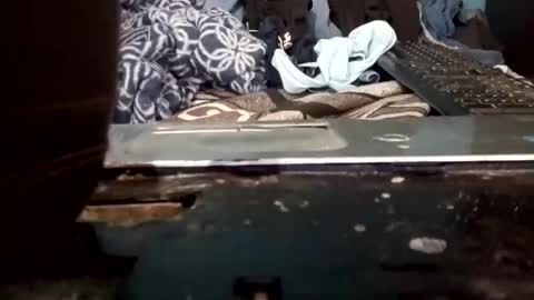 cumbian_chero online show from May 22, 2026, 2:44 pm