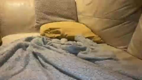 Cumfar online show from December 18, 2025, 2:39 am