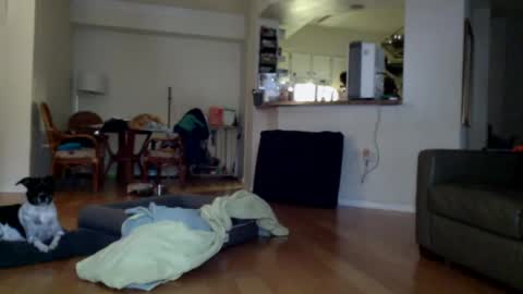 cumfiesta1 online show from January 1, 2025, 4:29 pm