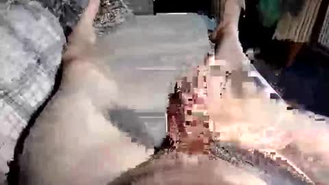 Snapshot of cuminher1975 chatting on October 10, 2025, 10:47 am Paul online show from October 10, 2025, 10:47 am