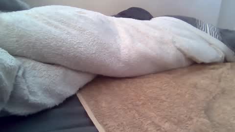 cummbumm69 online show from June 8, 2026, 4:40 pm