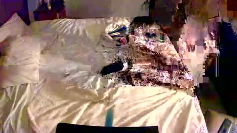 Snapshot of cummerforyouu chatting on February 13, 2026, 10:33 am Mike Smalls online show from February 13, 2026, 10:33 am