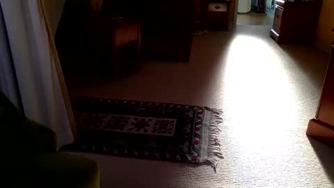 cumonherguys online show from October 28, 2025, 8:29 am