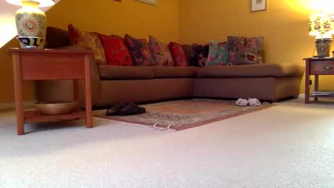 cumonherguys online show from November 7, 2025, 8:25 am