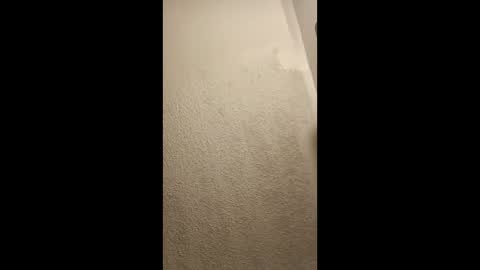 Snapshot of cumplay79 chatting on January 19, 2026, 5:11 am cumplay79 online show from January 19, 2026, 5:11 am