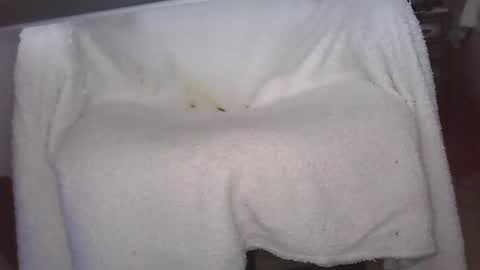 Snapshot of cut_guy64 chatting on December 24, 2024, 9:33 pm Cut Guy online show from December 24, 2024, 9:33 pm