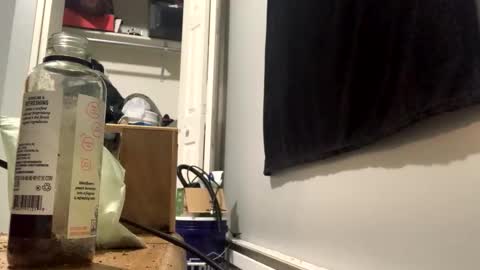 Snapshot of cutealisandra chatting on February 3, 2026, 3:04 am cutealisandra online show from February 3, 2026, 3:04 am