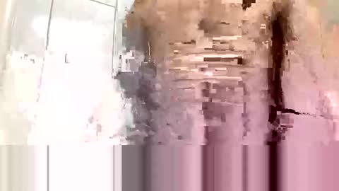 cvc2025 online show from November 10, 2025, 12:20 am