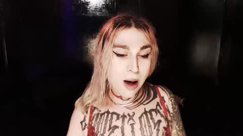 Snapshot of cybertrouble_ chatting on November 24, 2025, 11:26 pm Nikki online show from November 24, 2025, 11:26 pm