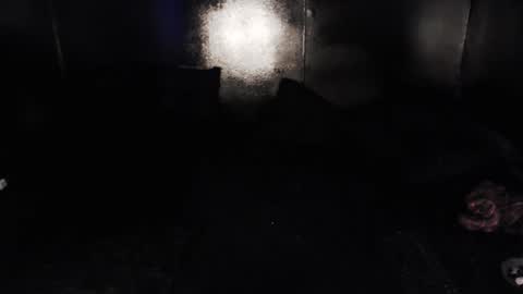 Snapshot of cybertrouble_ chatting on February 13, 2026, 4:36 pm Nikki online show from February 13, 2026, 4:36 pm