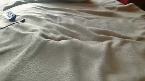 d_stroyer_p online show from December 19, 2025, 10:17 pm