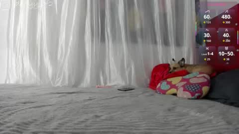 Snapshot of daani_hott chatting on January 9, 2026, 4:15 am daani_hott online show from January 9, 2026, 4:15 am